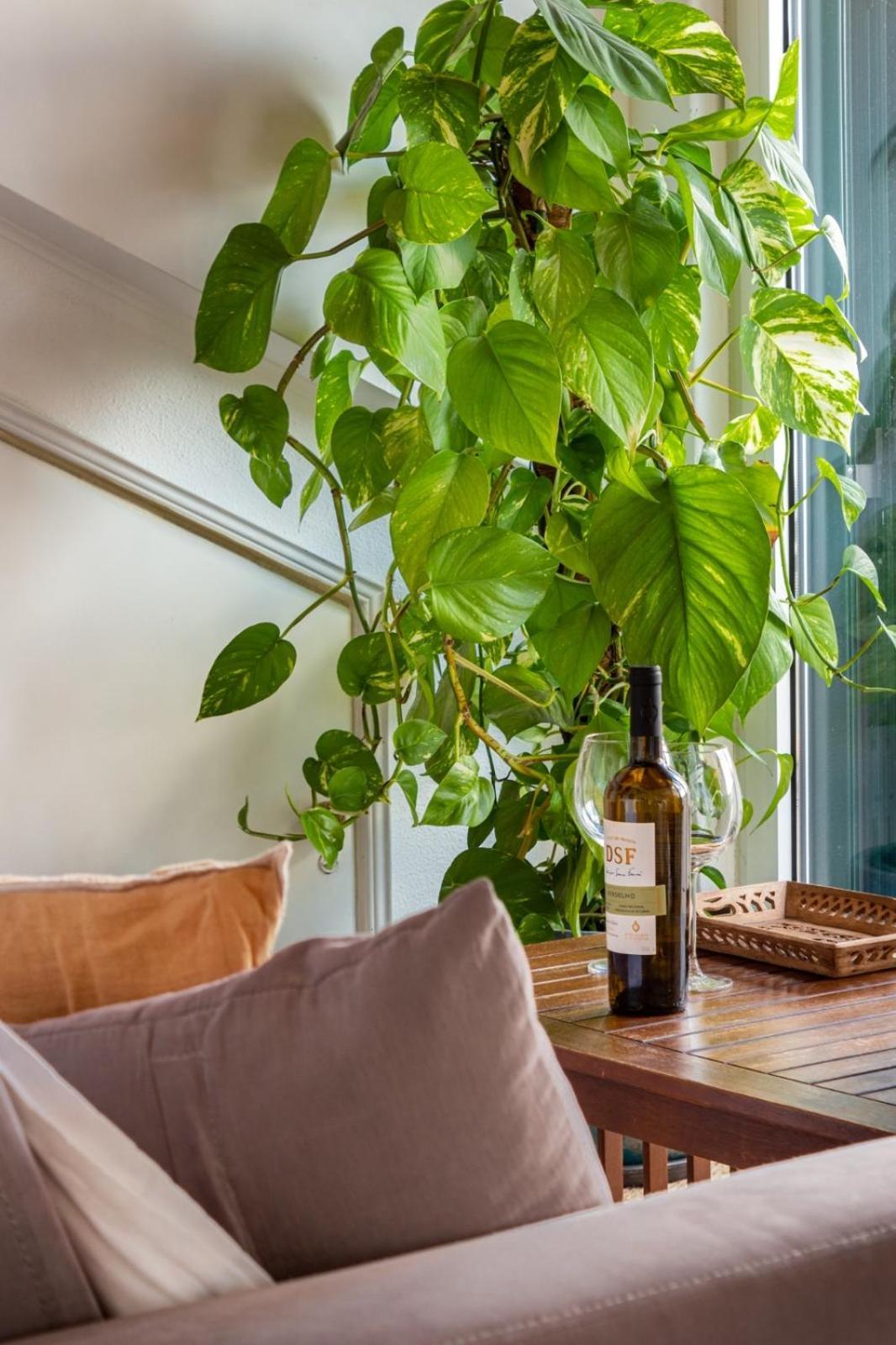 Casa Da Adoa B&B 포르티뉴 다 아라비다 객실 사진